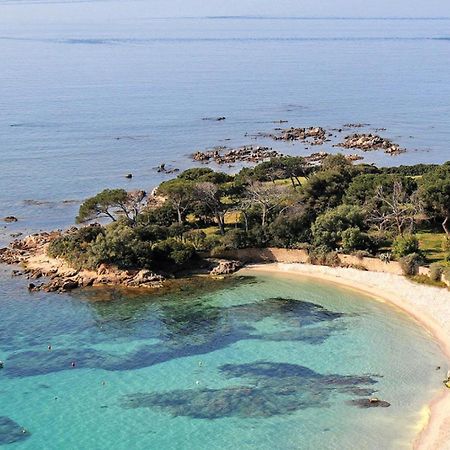Studio Rue Pietonne Ajaccio 아작시오 외부 사진