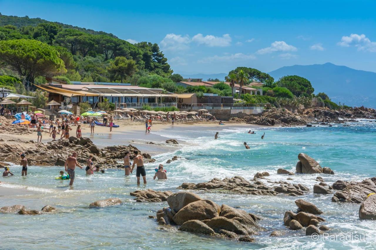 Studio Rue Pietonne Ajaccio 아작시오 외부 사진